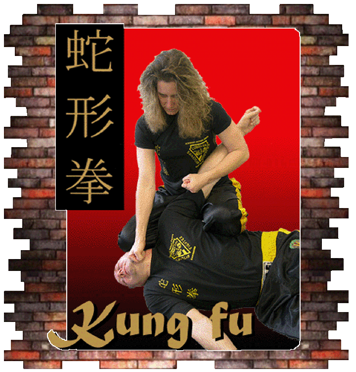 Krav Maga Wisconsin Custom Self Defense Reality Defense Kung Fu Learn On Lin